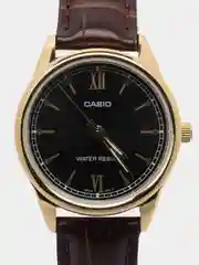Желтый часы наручные Casio Collection LTP-V005