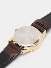 Коричневый часы наручные Casio Collection LTP-V001