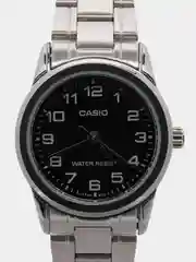 Серебряный часы наручные Casio Collection LTP-V001