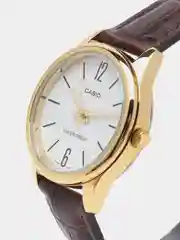 Коричневый часы наручные Casio Collection LTP-V005