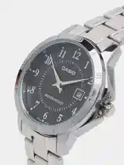 Серебряный часы наручные Casio Collection LTP-V004
