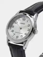 Серый часы наручные Casio Collection LTP-V001