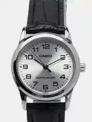 Серый часы наручные Casio Collection LTP-V001