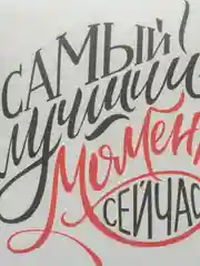 Прозрачный подушка декоративная на молнии с авторским принтом, подушка для сна, диванная подушка