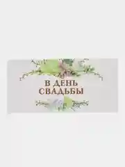 Лайм конверт для денег