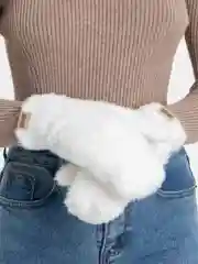 Белый варежки женские