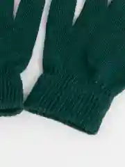 Зеленый перчатки