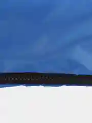 Синий чехол для беговых лыж на молнии