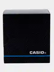 Серебряный часы наручные Casio Collection LTP-V002
