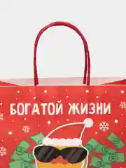 Фуксия пакет подарочный новогодний с приколами, 22 х 22 х 11 см