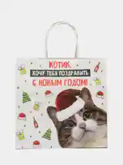 Хаки пакет подарочный новогодний с приколами, 22 х 22 х 11 см