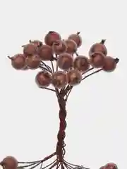 Черный ягоды на проволоке