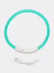 Зеленый светящийся ошейник для кошек и собак