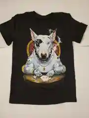 Серебряный футболка