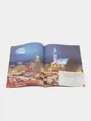 Алый разные виды книг-квестов "Новогоднее настроение", "Чем занять ребёнка?"
