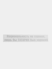 Термотрансфер, термонаклейка на одежду, надпись, цитата