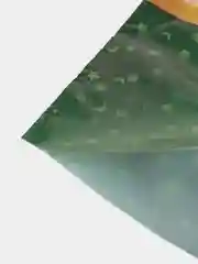 Горчичный пакет подарочный новогодний пакетик с вырубной ручкой, 5 шт / 10 шт