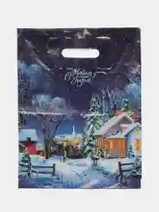 Разноцветный пакет новогодний 30*40, 3 шт
