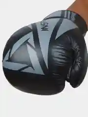 Черный перчатки боксерские INSANE ARES IN22-BG300, кожа