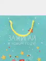 Зеленый пакет подарочный новогодний 18 х 23 х 10 см Meshu, ламинированный
