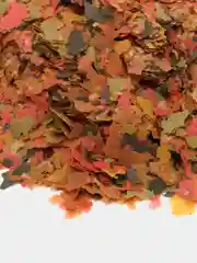 Корм Tetra Min Flakes в хлопьях, для всех видов аквариумных рыб