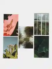 Фиолетовый набор открыток в крафтовом конверте, 10*15 см, на новый год, день рождения