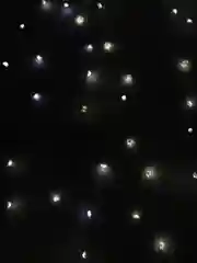 Белый гирлянда-штора "Хвойная лапа"