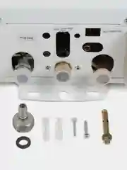 Газовый проточный водонагреватель "Oasis" OR-12W
