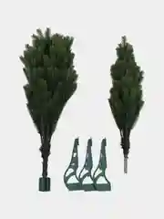 Ель литая Иркутская