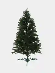 Ель литая Иркутская