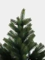 Ель литая Иркутская