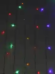 Гирлянда Занавеска, прямые, 3 м, цветная 320LED 220В