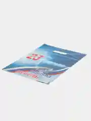 Лазурный пакет подарочный "8 марта",полиэтиленовый, 2 шт, 30 х 40 см, 50 мк