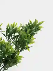 Искусственная зелень "Бамбук", 30 см