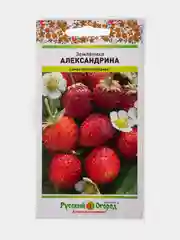 Семена Земляника "Александрина"