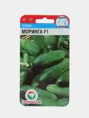 Семена огурцы Моринга F1, Сибирский Сад, 1 пачка