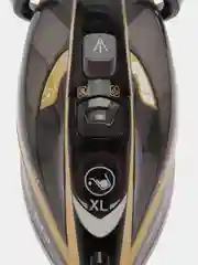 Утюг Tefal FV5696E1, 3000 Вт, черно-золотистый