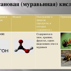 Муравьиная кислота