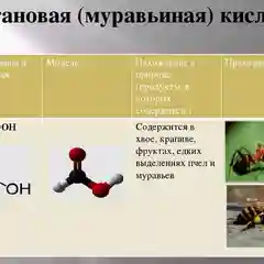Муравьиная кислота