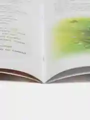 Книга "Волчонок учится извиняться", терапевтическая сказка