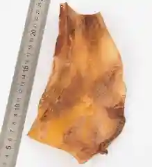 Лопаточный хрящ цельный говяжий, лакомство для средних и крупных пород, 150 гр