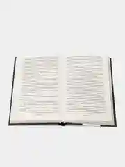 Таинственная история Билли Миллигана, Дэниел Киз