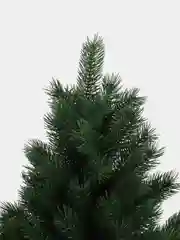 Ель литая Кремлевская