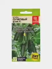 Семена Огурец "Пучковый бум F1", Семена Алтая