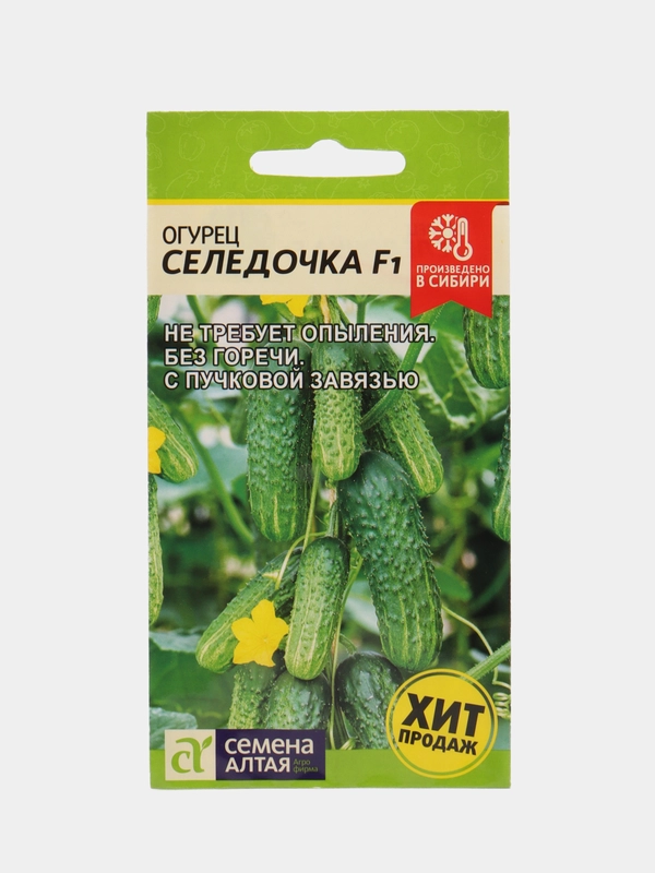 Семена Огурец "Селёдочка", Семена Алтая