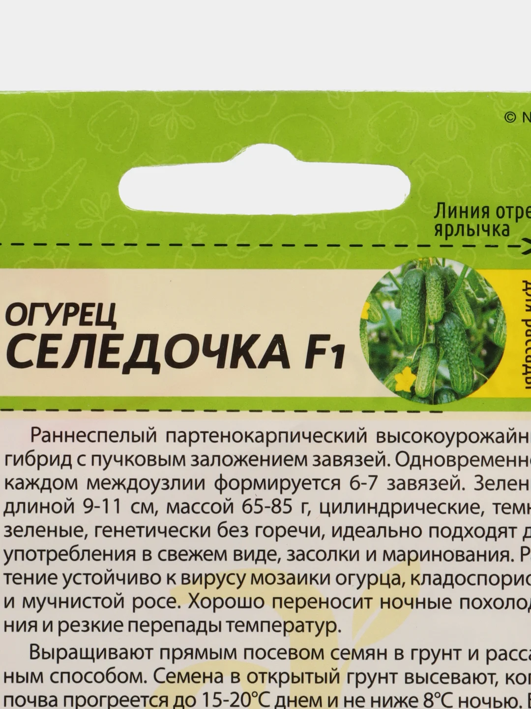 Семена Огурец "Селёдочка", Семена Алтая