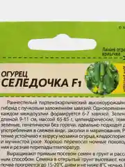 Семена Огурец "Селёдочка", Семена Алтая