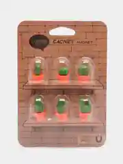 Оранжевый 3d магниты в виде суккулентов Minimi