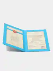 Сувенирный подарочный "Диплом лучшего в мире брата", (ламинированный)