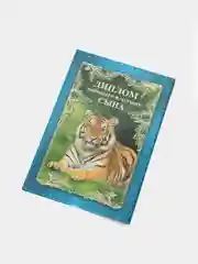 Сувенирный подарочный  "Диплом любящего и чуткого сына", (ламинированный)